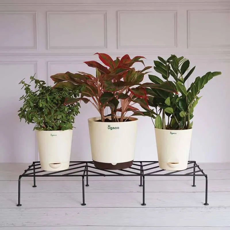UGAOO Rectangular Flower Pot  Stand (Black)- Set Of Four media 1