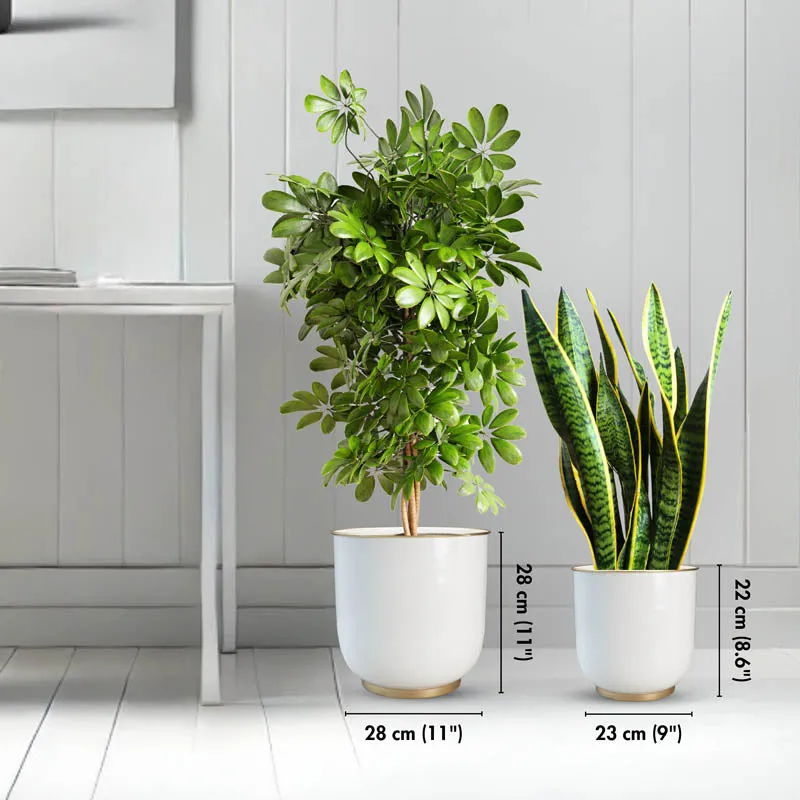 Alabaster Floor Planter - Set of 2 media 6