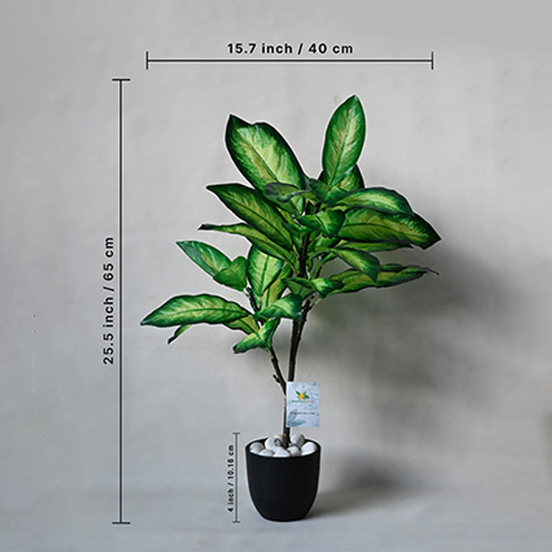 Faux Everlasting Dieffenbachia Seguine Plant With Black Plastic Pot - 74 cm (2.4 ft) media 5