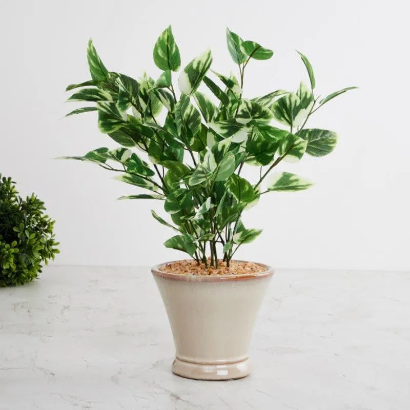 Faux Pothos Bonsai In Cone Pot (42 cms) - Small media 1