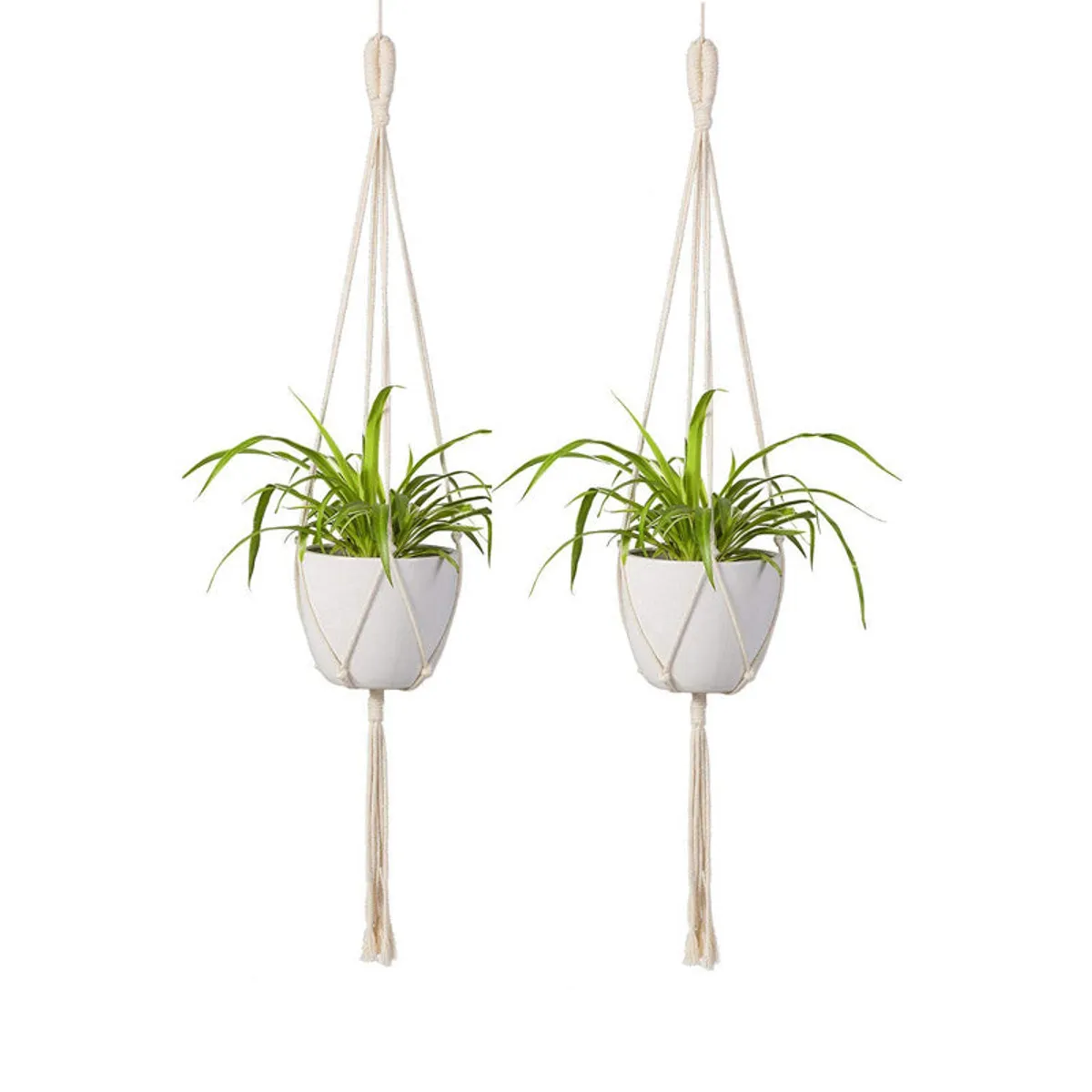Set of two white macrame plant hangers with white pots and green plants on a plain background
