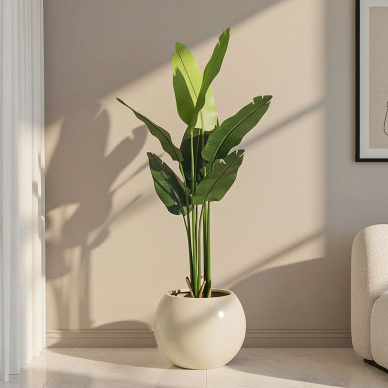 Artificial Travellers Palm Plant With Black Fiber Pot - 4.9 Feet