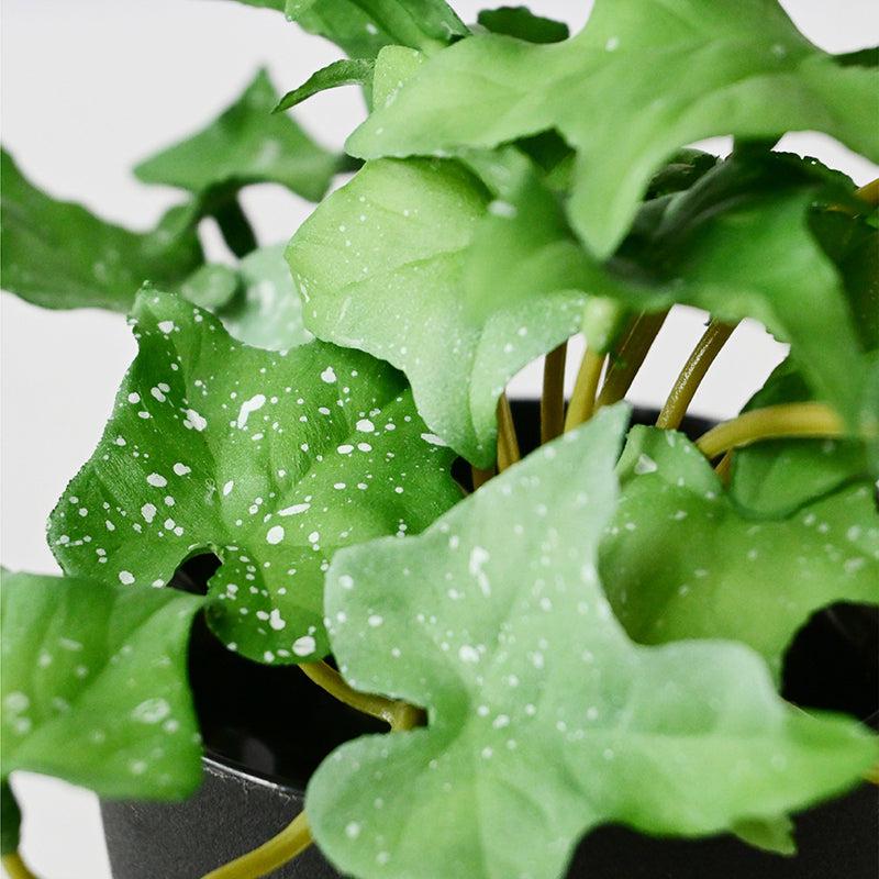 Ivella Artificial Mini Ivy Plant With Basic Black Plastic Pot (Green) - 14 cm media 4