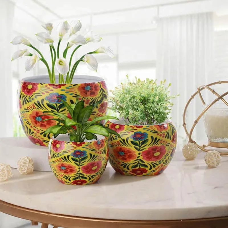 Three yellow floral planters displayed indoors with plants