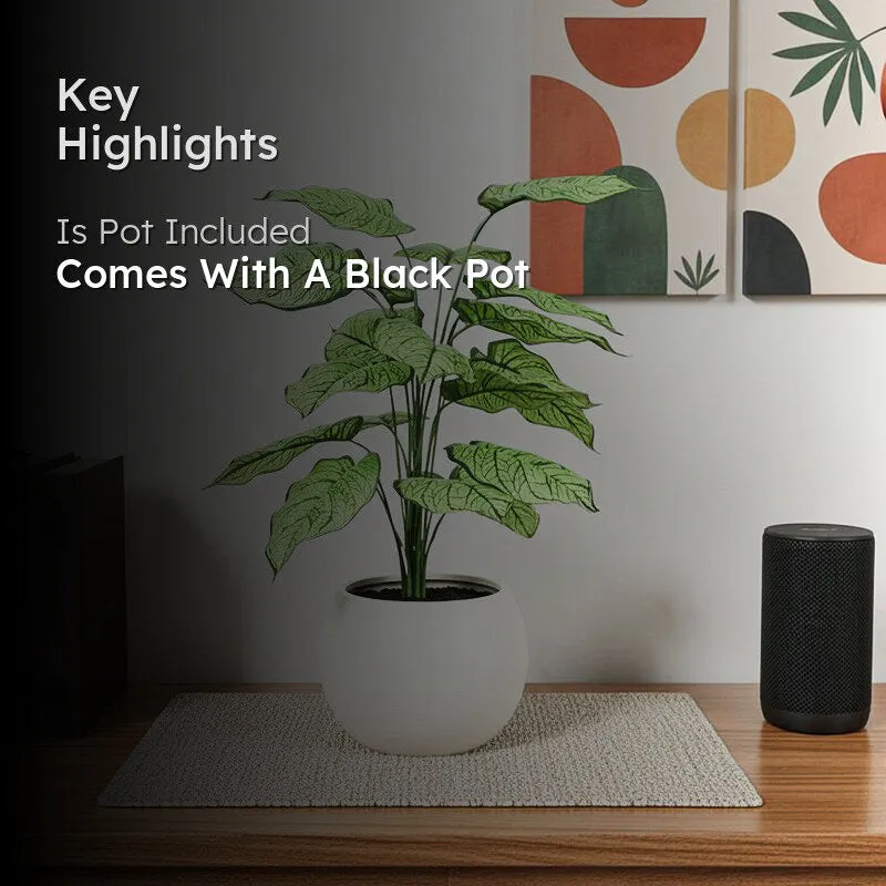 Living room display showing the artificial plant and black pot