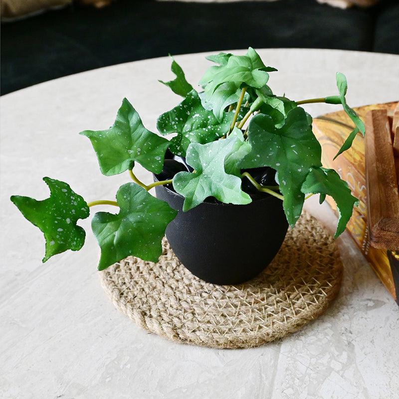 Ivella Artificial Mini Ivy Plant With Basic Black Plastic Pot (Green) - 14 cm media 6