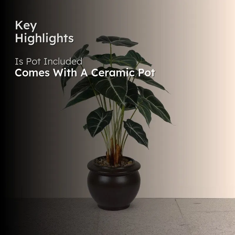 Faux Alocasia Bonsai In Ceramic Pot (59 cms) - Brown media 2