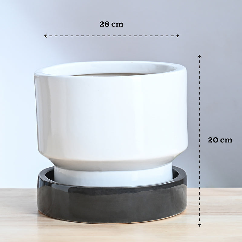 Ugaoo Pot-fection Ceramic Planter - White & Dark Grey media 10
