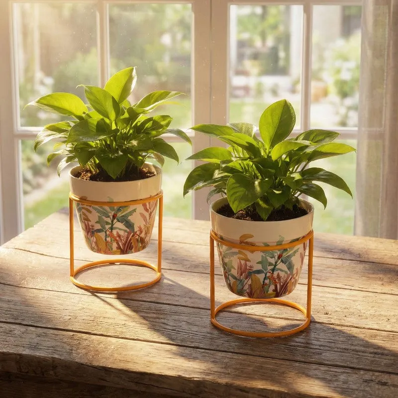 The Planter Nook Metal Planters With Stand - Four Piece Set media 7