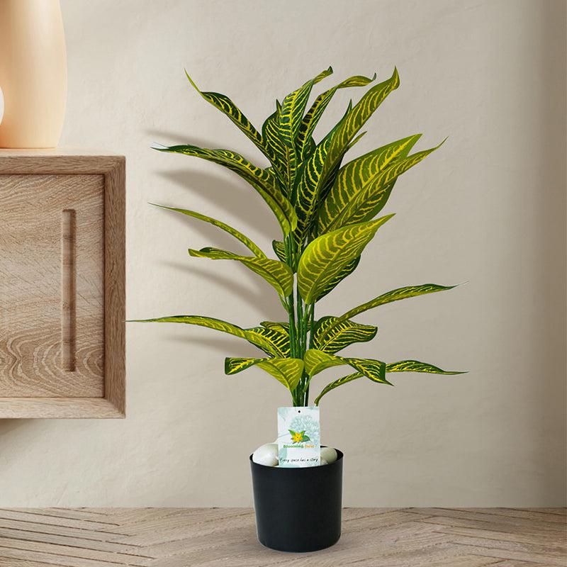 Faux Everlasting Yellow Iceton Croton Plant With Black Plastic Pot - 71 cm (2.3 ft) media 3