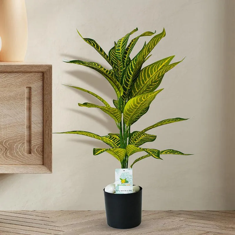 Faux Everlasting Yellow Iceton Croton Plant With Black Plastic Pot - 71 cm (2.3 ft) media 3