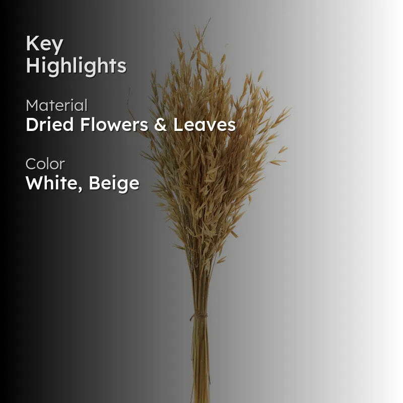 Yinira Naturally Dried Havana Grass media 2