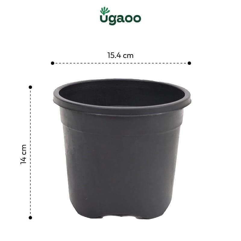 Ugaoo Garden Black Plastic Pot (15.4 CM) - Set Of Three media 4