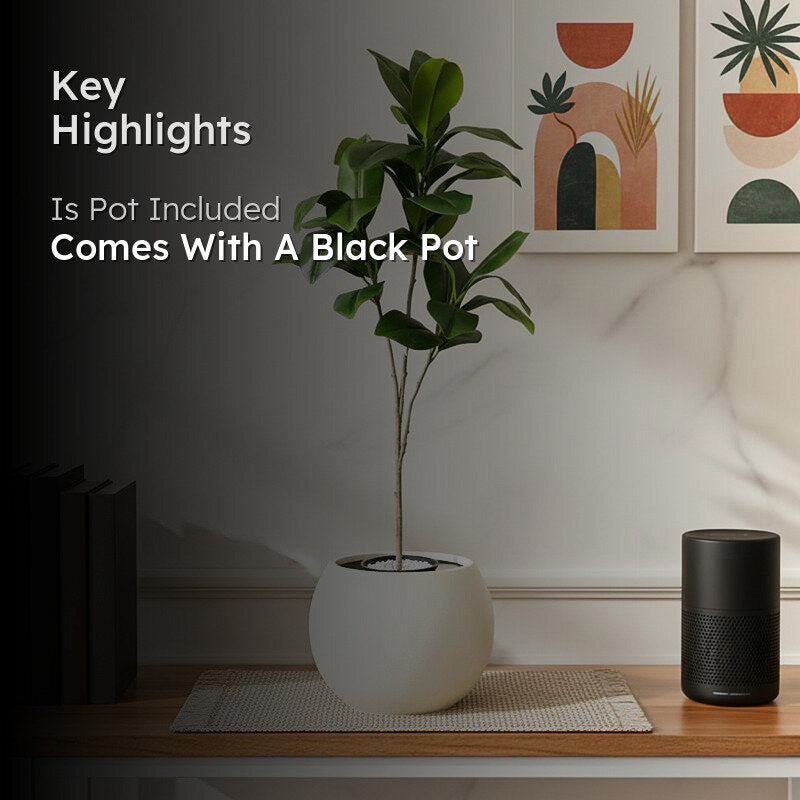Bloomora Artificial Fiddle Fig Plant With Black Plastic Pot - 3.1 Feet media 2