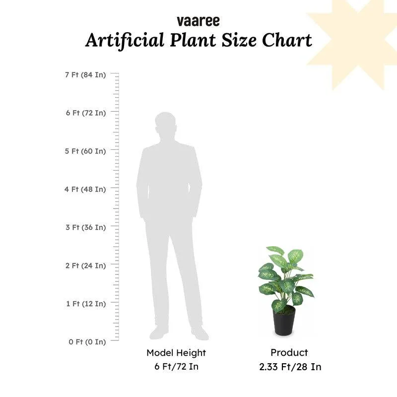 Evergreen Dieffenbachia Artificial Plant Without Pot - 2.3 Feet media 7