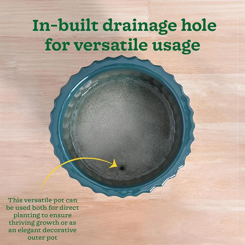 Ugaoo Stria Ceramic Planter - Green media 8