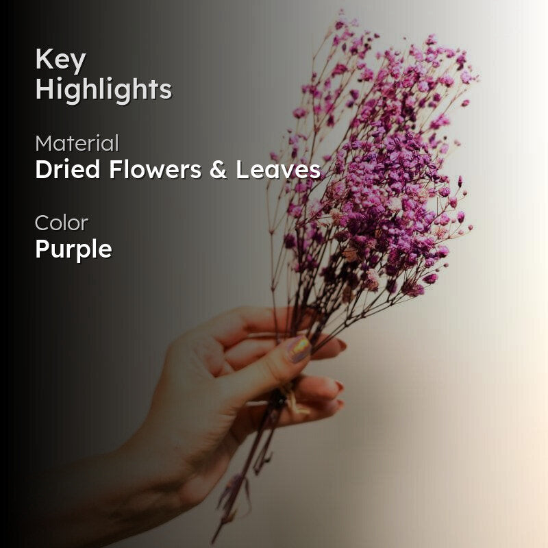 Naturally Dried Baby's Breath Gypsophila Bunch (Purple) - Set Of Five media 2