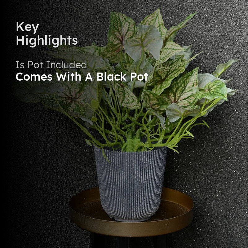 Caladia Artificial Caladium Plant With Black Plastic Pot - 40 cm media 2