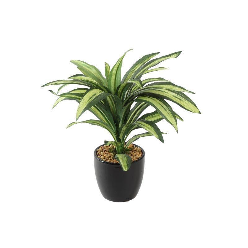 Faux Dracaena Bonsai (24 cms) - Green media 4