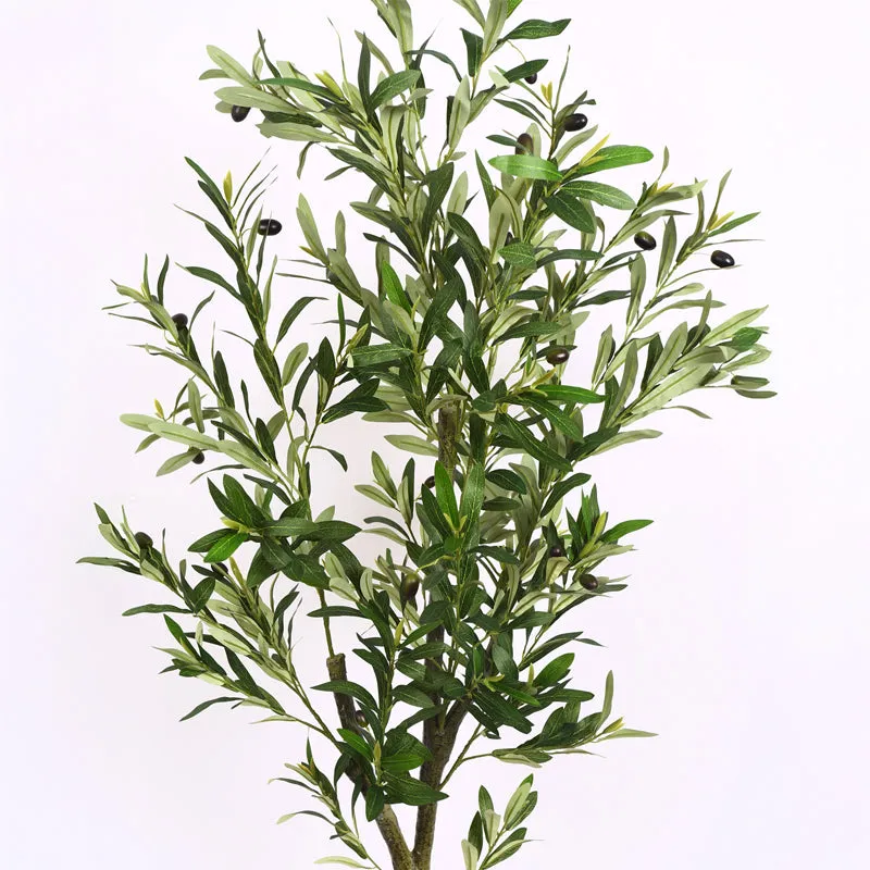Verdiq Artificial Olive With Black Plastic Pot - 5 Feet media 5