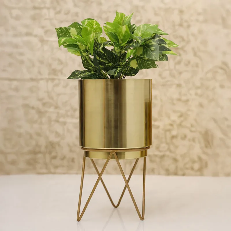 Root Rise Elle Gold Planter With Stand media 5