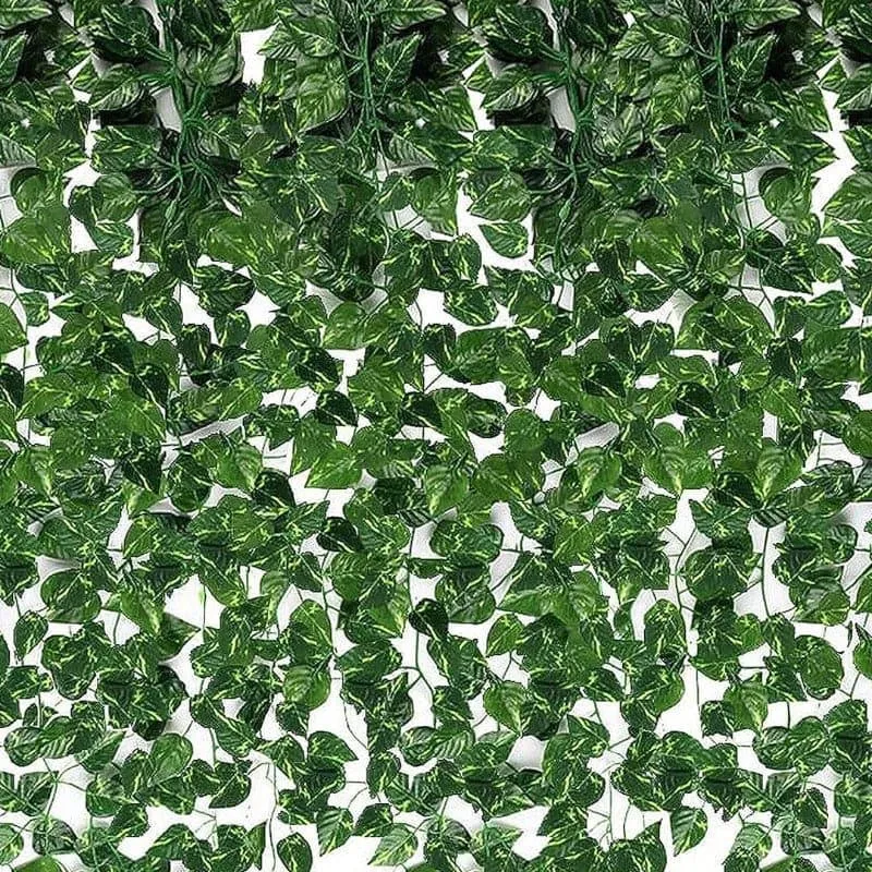 Faux Money Plant Wall Creeper media 3