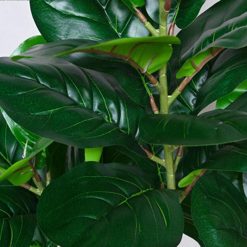 Faux Everlasting Fiddle Leaf Fig  Plant With Black Plastic Pot - 95 cm (3.1 ft) media 4