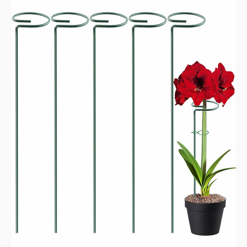 Dura Metal Plant Stake - Set Of Five media 4