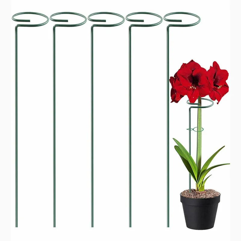 Dura Metal Plant Stake - Set Of Five media 4