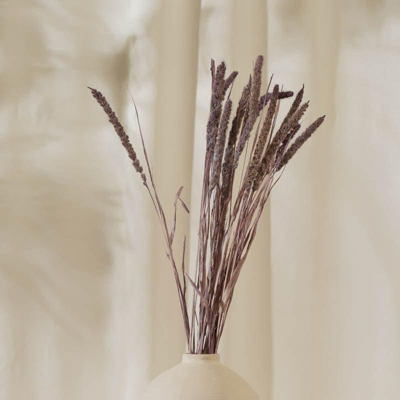 (Purple) Dried Millet Grass Stems (2.3 ft) - Set Of Twenty Stems media 3