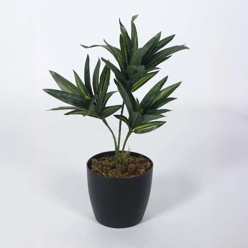 Faux Lush Dracaena Reflexa Plant With Black Plastic Pot (Dark Green) - 1.3 Feet media 3