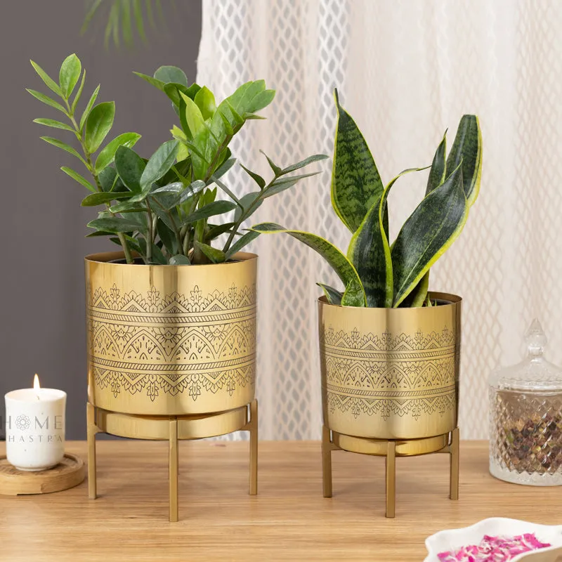 Vinyas Raaga Golden Planter with Stand - Set of Two media 2