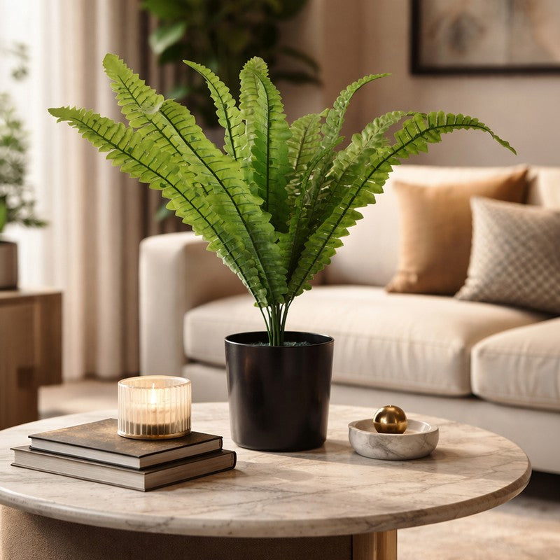 Fernex Artificial Plant With Plastic Pot - 1.5 Feet