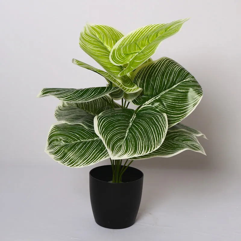 Verdiva II Artificial Plant With Black Plastic Pot - 1.8 Feet media 3