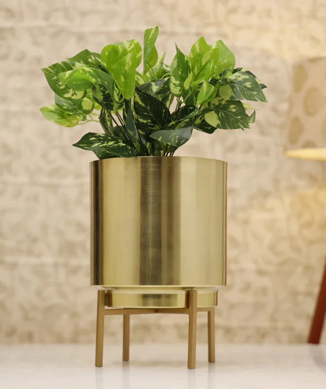 Vida Ember Planter - Gold media 5