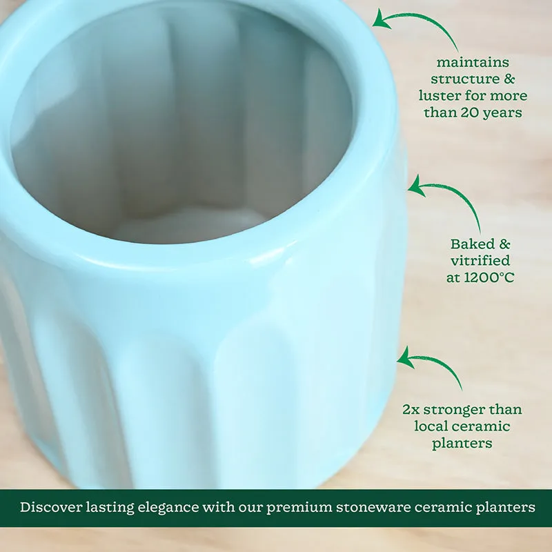 Ugaoo Straits Ceramic Planter - Light Blue - 5