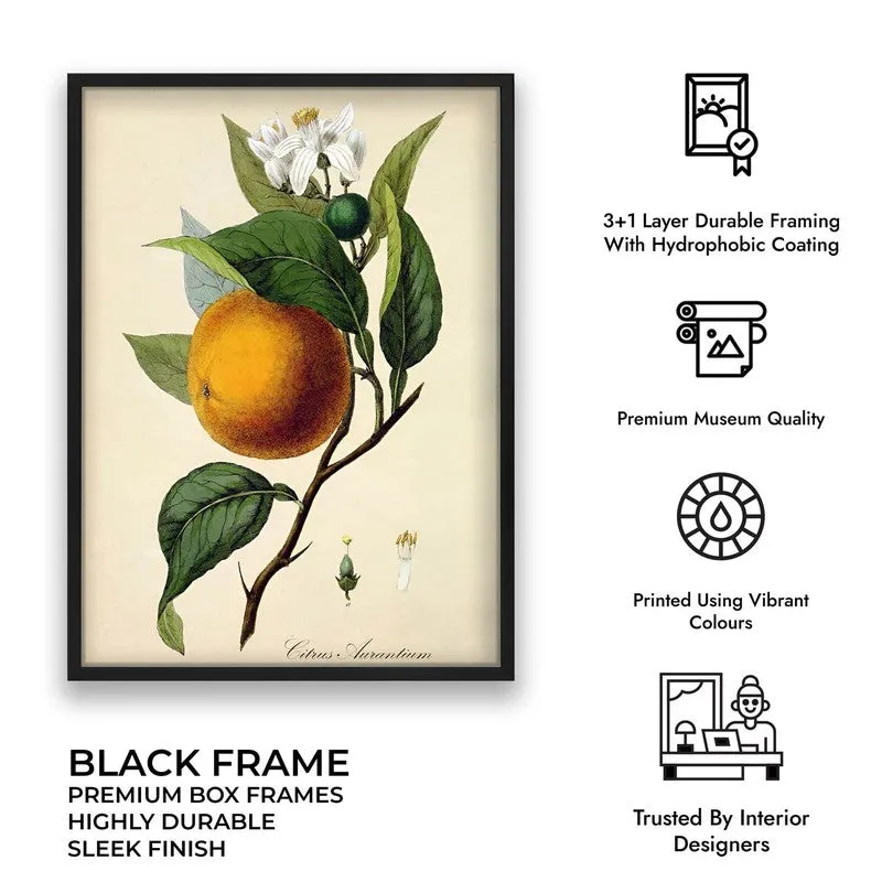 Tropical Zest Archival Canvas Wall Art - Black media 10