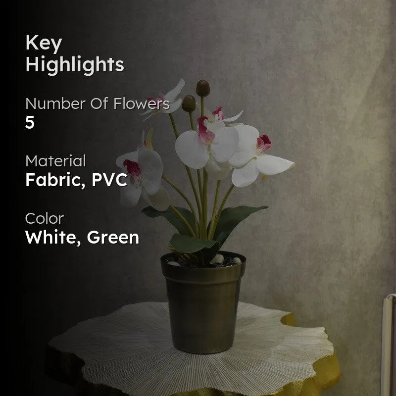 Realistic Artificial Orchid Flower Bunches - White & Green media 2