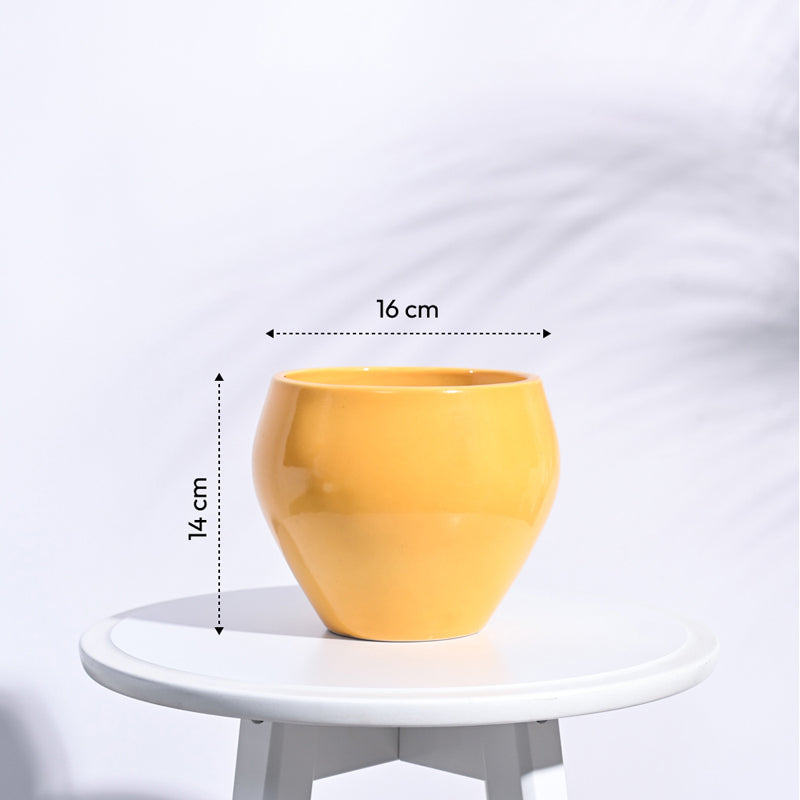 Ugaoo Apple Yellow Ceramic Pot- Medium media 6