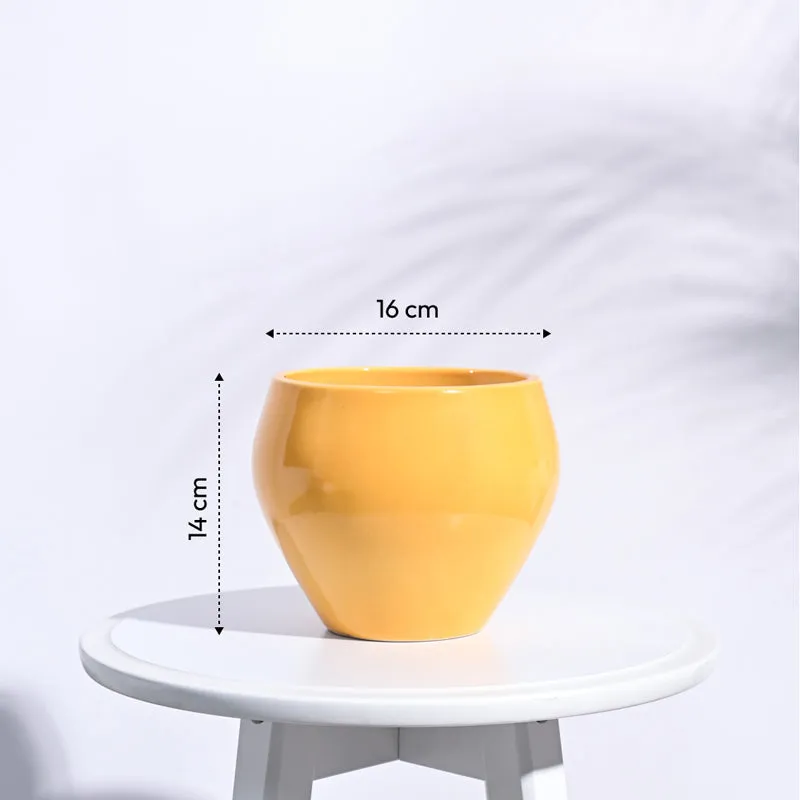 Ugaoo Apple Yellow Ceramic Pot- Medium media 6