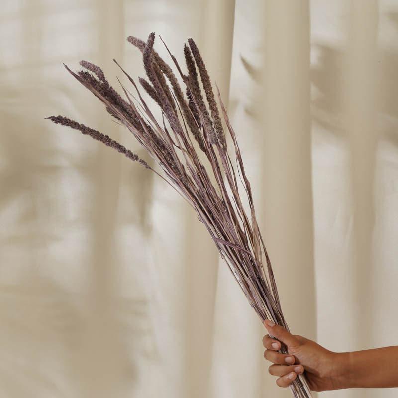 (Purple) Dried Millet Grass Stems (2.3 ft) - Set Of Twenty Stems media 4