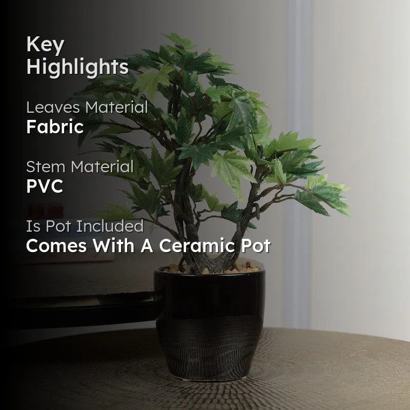 Artificial Green Maple Bonsai Plant With Ceramic Pot - 0.8 Feet media 2