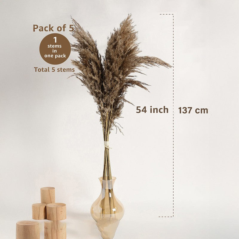 Artificial Rustic Pampas Stem - Set Of Five media 8