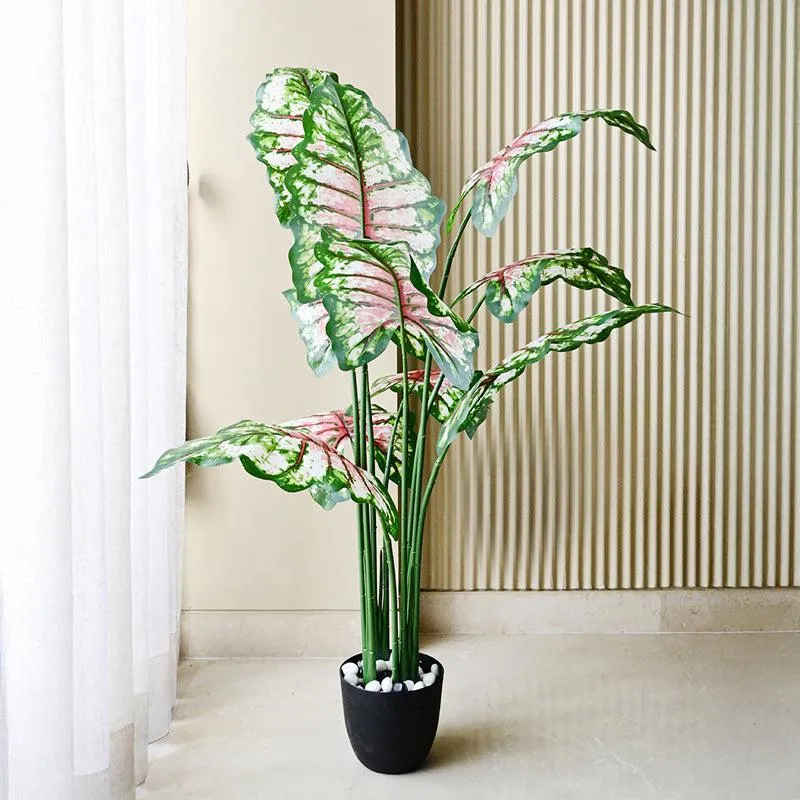 Calatrop Artificial Tropical Caladium With Basic Black Plastic Pot - 150 cm (5 ft) media 7