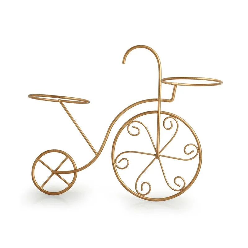 Cycle Ride Wall Planter media 5