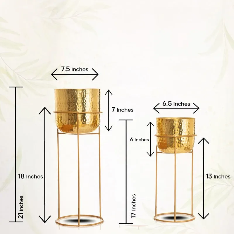 Milara Allure Hammered Planter (Gold) - Set Of Two media 7