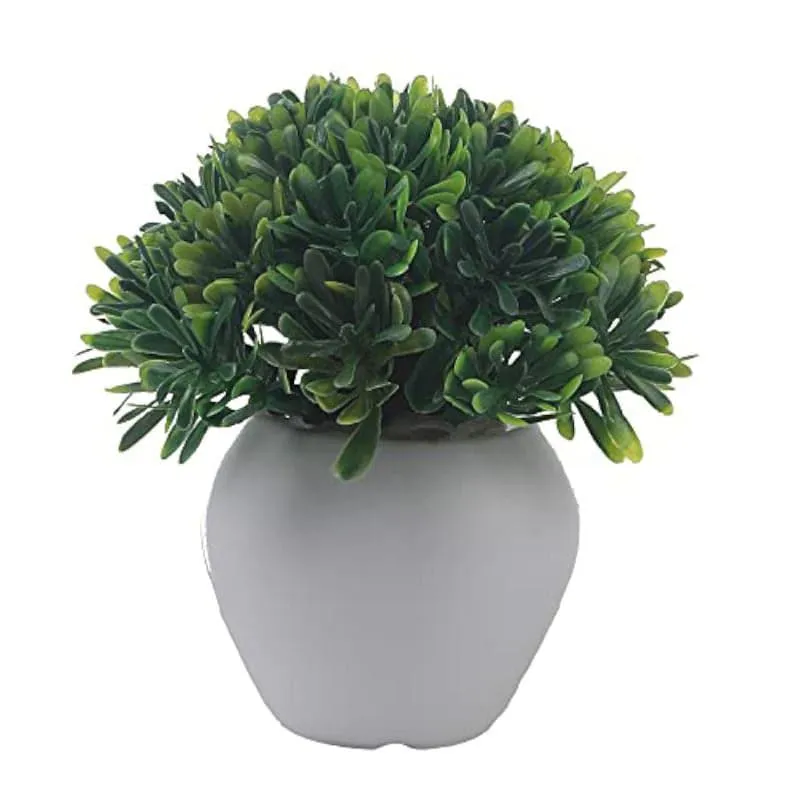 Chlora Faux Plant In Apple Pot (12 cms) - Set Of Three media 5