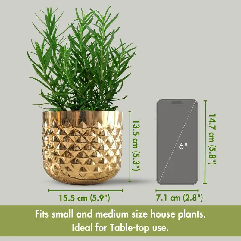 Pineapple Bite Planter - Set Of Two media 7