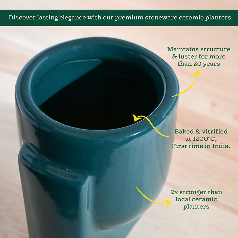Ugaoo Minimalica Ceramic Planter - Dark Green media 5