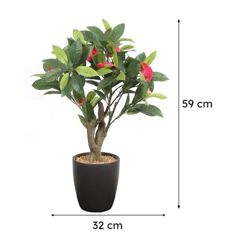 Faux Camellia Bonsai In Ceramic Pot (59 cms) - Pink media 6